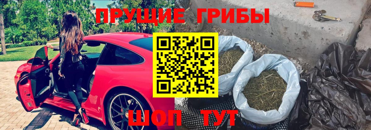 купить  цена  Псилоцибиновые грибы GOLDEN TEACHER  Вход с VPN  Галлюциногенные грибы MAGIC MUSHROOMS  Чехов 